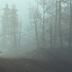 FALLOUT 4, by AndrewCull